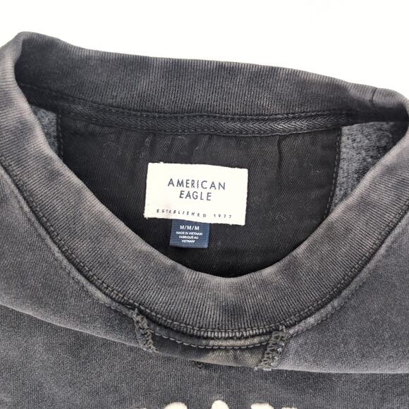 American Eagle Funday Gray/Grey Distressed Crewneck Graphic Sweatshirt - Size M - Picture 3 of 13